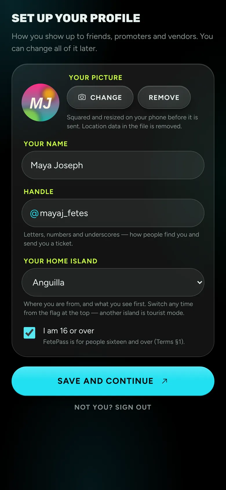 Setting up a profile: picture, name, handle and home island.